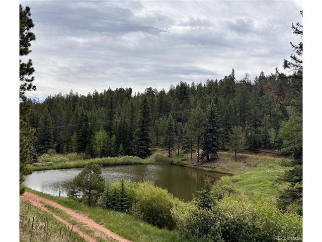 12447 S Danny Ave, Pine, CO 80470