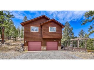12447 S Danny Ave, Pine, CO 80470