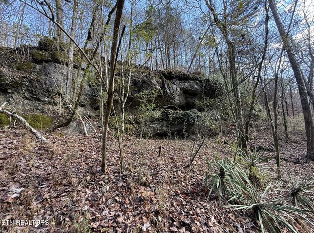 3089 Cedar Creek Rd, Lafollette, TN 37766