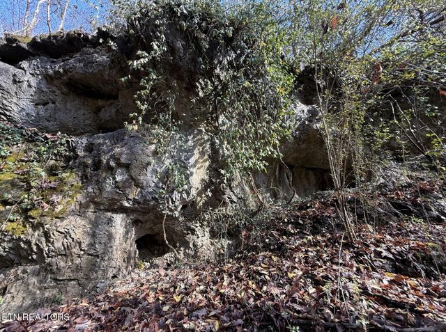 3089 Cedar Creek Rd, Lafollette, TN 37766