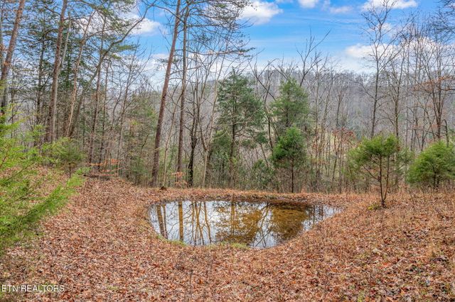 3089 Cedar Creek Rd, Lafollette, TN 37766
