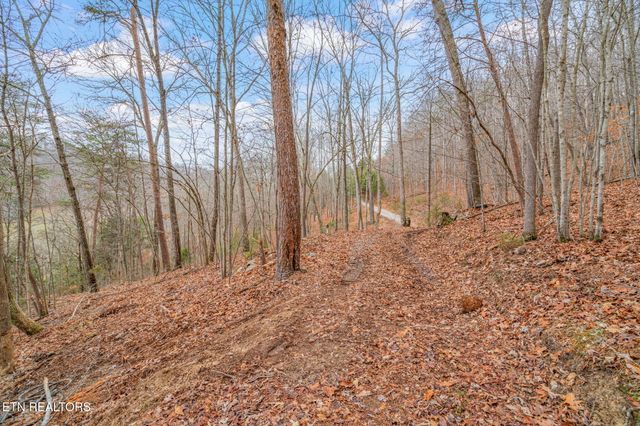 3089 Cedar Creek Rd, Lafollette, TN 37766