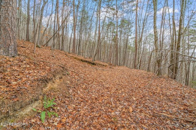 3089 Cedar Creek Rd, Lafollette, TN 37766