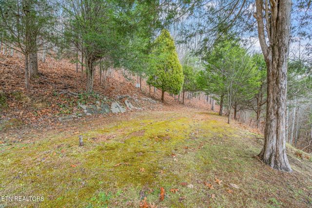 3089 Cedar Creek Rd, Lafollette, TN 37766