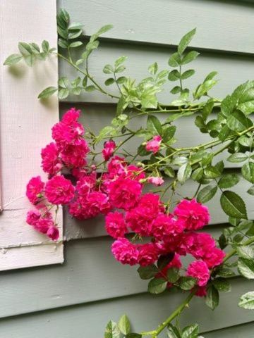 11 North Line Road, Wolfeboro, NH 03894