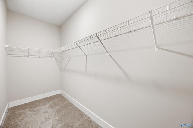 2410 Celia Court, Huntsville, AL 35803