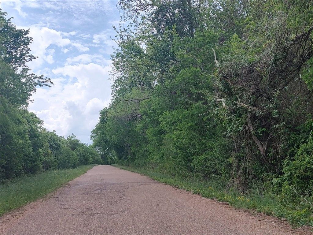 TBD CR 328, TRACT 3, 10 ACRES Road, Caldwell, TX 77836 — photo 2