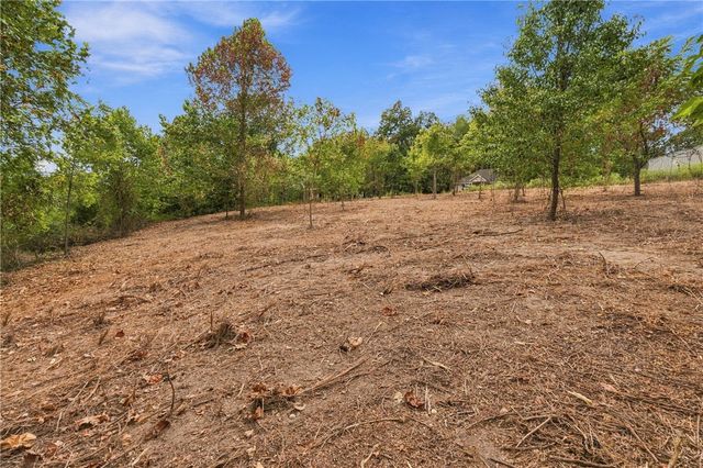 Captain Miller Boulevard 5 AC, Pea Ridge, AR 72751
