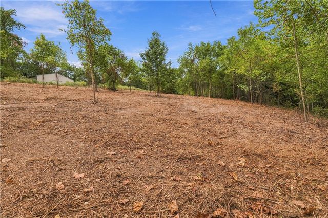 Captain Miller Boulevard 5 AC, Pea Ridge, AR 72751