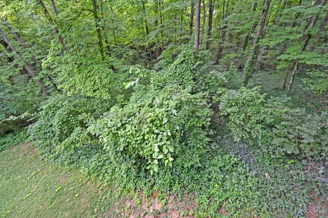 9843 Tall Timber Drive, West Chester, OH 45241