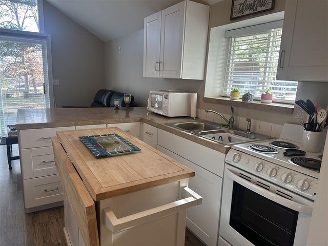 10018 S Rebecca Road, Baldwin, MI 49304