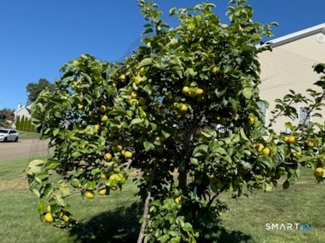 12 Red Oak Lane, Seymour, CT 06483