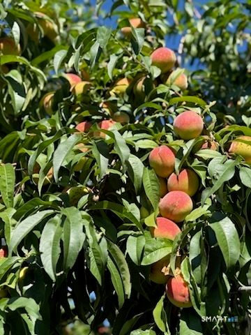 12 Red Oak Lane, Seymour, CT 06483