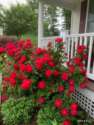 12 Red Oak Lane, Seymour, CT 06483