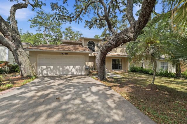 14728 TALL TREE DRIVE, Lutz, FL 33559