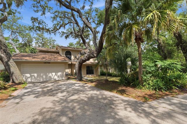 14728 TALL TREE DRIVE, Lutz, FL 33559