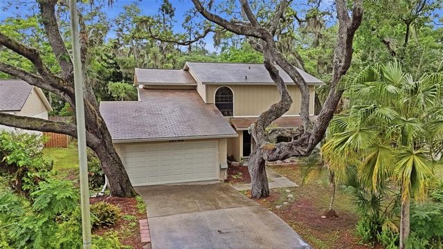 14728 TALL TREE DRIVE, Lutz, FL 33559
