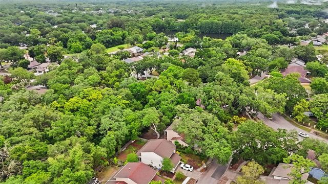 14728 TALL TREE DRIVE, Lutz, FL 33559