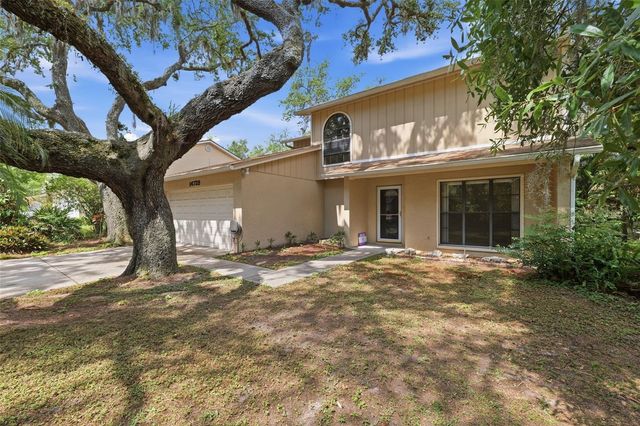 14728 TALL TREE DRIVE, Lutz, FL 33559