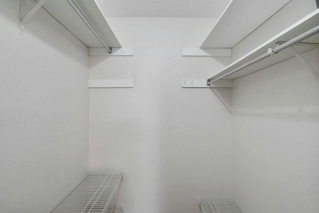 2503 Star Grass CIR, Austin, TX 78745