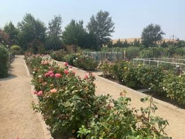 7714 Briarberry Way, El Dorado Hills, CA 95762