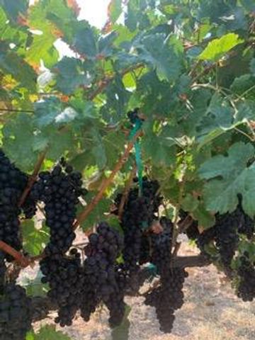 7714 Briarberry Way, El Dorado Hills, CA 95762