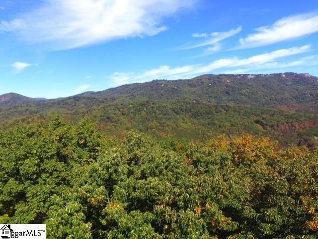 0 Highway 11, Landrum, SC 29356