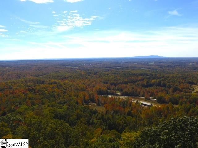 0 Highway 11, Landrum, SC 29356