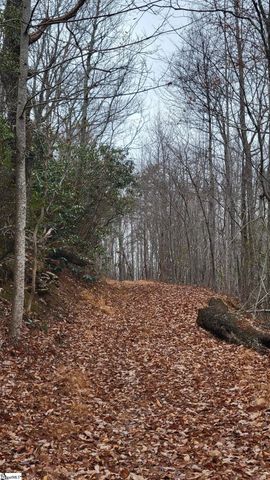 0 Highway 11, Landrum, SC 29356