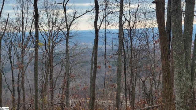 0 Highway 11, Landrum, SC 29356