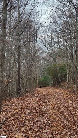 0 Highway 11, Landrum, SC 29356