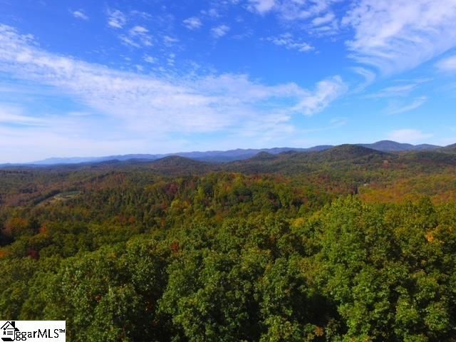 0 Highway 11, Landrum, SC 29356