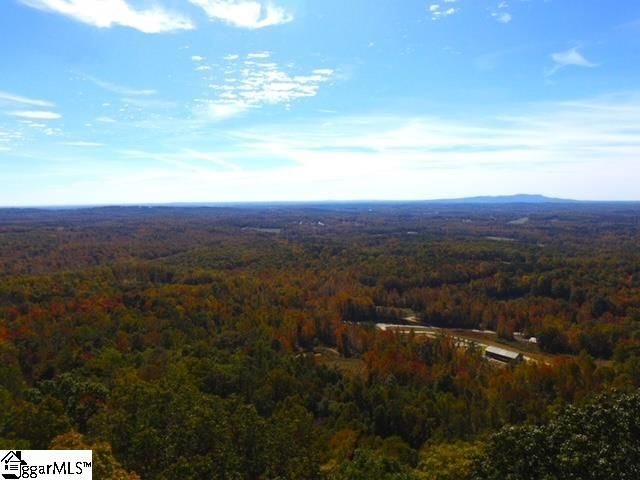 0 Highway 11, Landrum, SC 29356