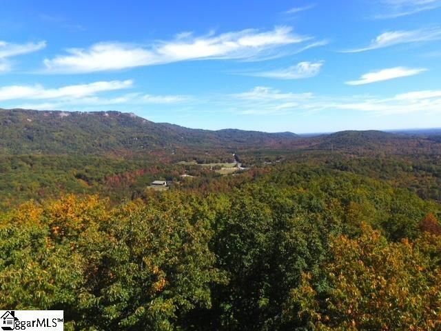 0 Highway 11, Landrum, SC 29356