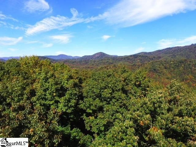 0 Highway 11, Landrum, SC 29356