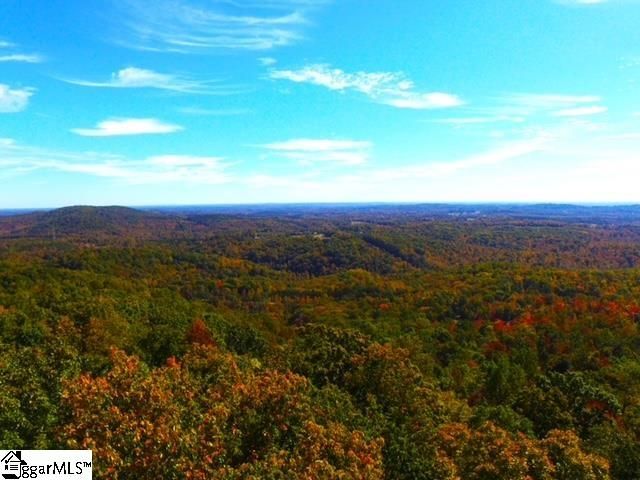 0 Highway 11, Landrum, SC 29356