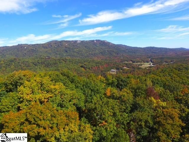 0 Highway 11, Landrum, SC 29356