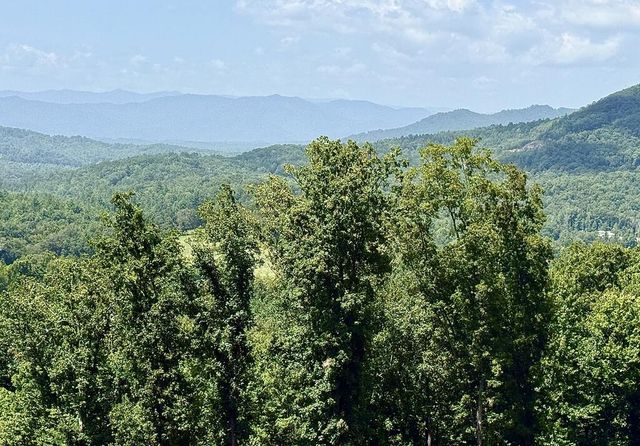 Lot 25 Grand Laurel, Brasstown, NC 28902