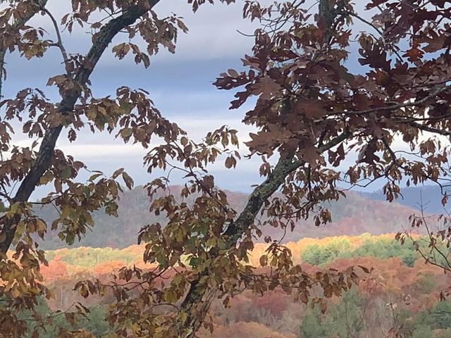 Lot 25 Grand Laurel, Brasstown, NC 28902
