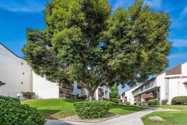 6171 Rancho Mission Rd 208, San Diego, CA 92108