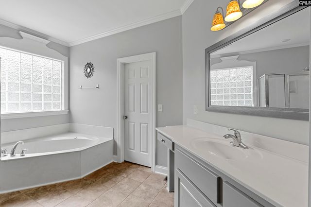 302 Lookout Hill Drive, Chapin, SC 29036