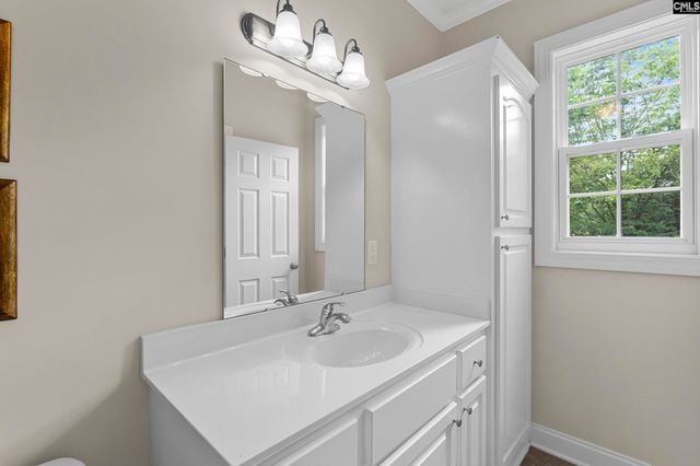 302 Lookout Hill Drive, Chapin, SC 29036