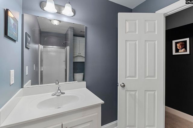 302 Lookout Hill Drive, Chapin, SC 29036