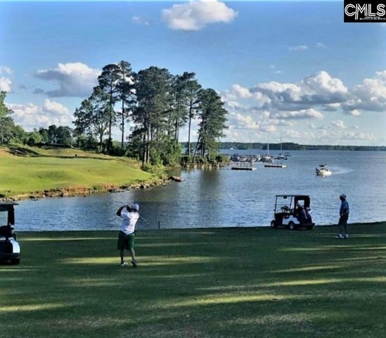 302 Lookout Hill Drive, Chapin, SC 29036