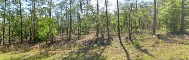 00 SW SW ZINNIA COURT, Dunnellon, FL 34431