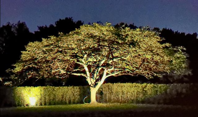 14390 Wellington Trace, Wellington, FL 33414