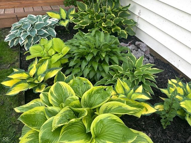 3413 Roundlake Lane, Whitestown, IN 46075