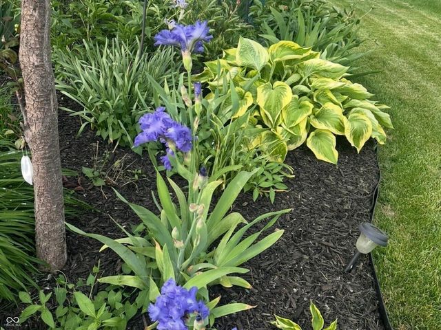 3413 Roundlake Lane, Whitestown, IN 46075