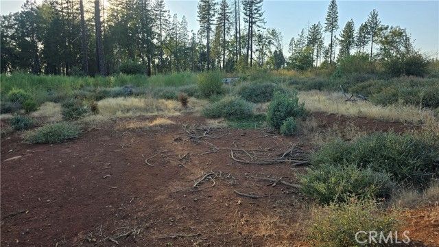 13597 W Park Drive, Magalia, CA 95954