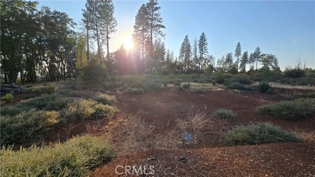 13597 W Park Drive, Magalia, CA 95954